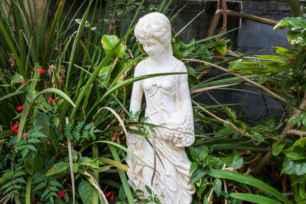 Elindale House Bed & Breakfast Lismore Bagian luar foto